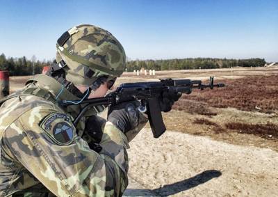 Чехия готова задействовать 200 военнослужащих в наземной операции против ИГ