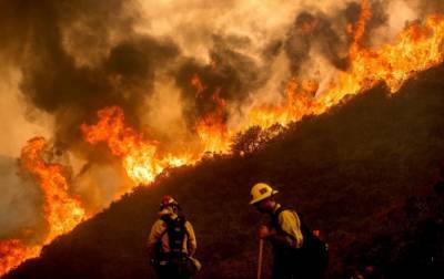 В Калифорнии десятки людей оказались в ловушке из-за лесных пожаров, есть раненые
