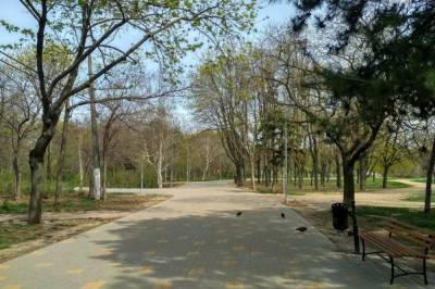 В Одессе супруги с 9-летним ребенком жили в парке, потому что потеряли работу и не было денег