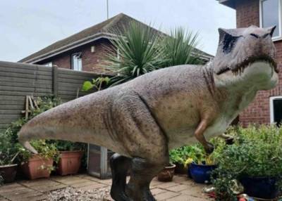 Сначала не заметила: жена попросила украсить сад, муж поставил огромного тираннозавра