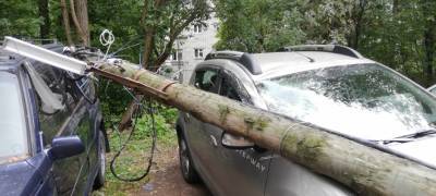 Фонарный столб рухнул на автомобили в Петрозаводске (ФОТО)