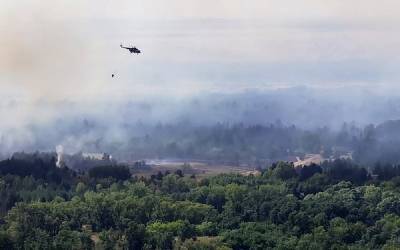В Ростовской области ликвидировали крупный лесной пожар