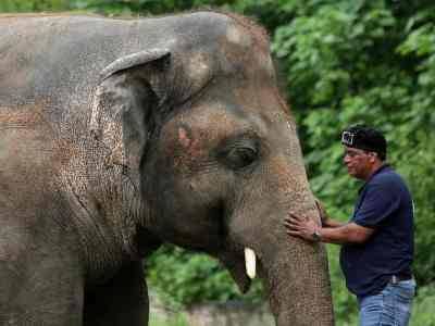 «Самому одинокому слону в мире», судьбой которого занялась певица Шер, разрешили покинуть зоопарк в поисках лучшей жизни