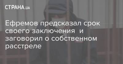 Ефремов предсказал срок своего заключения и заговорил о собственном расстреле