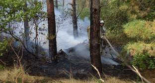 Потушен природный пожар вблизи хутора в Ростовской области