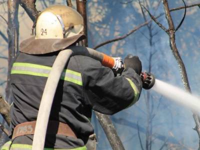 Пожары в Харьковской и Луганской областях: спасатели тушат очаги возгорания, открытого огня нет