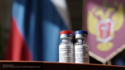 Власти Нигерии получили образцы российской вакцины от коронавируса