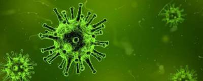 Риновирус может защитить организм от заражения гриппом