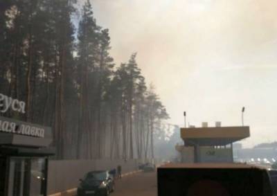 Воронеж охватили пожары