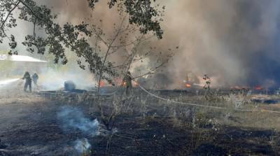 Лесной пожар в Харьковской области потушили – ГСЧС