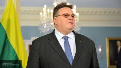 Глава МИД Литвы раскритиковал отношение ЕС к Белоруссии