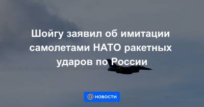 Шойгу заявил об имитации самолетами НАТО ракетных ударов по России