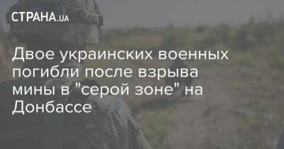 Двое украинских военных погибли после взрыва мины в "серой зоне" на Донбассе