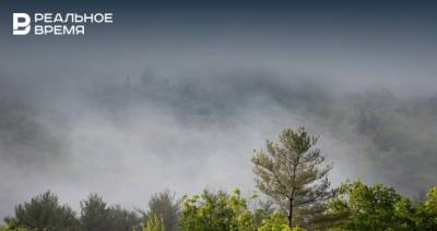 Синоптики предупредили о тумане в Татарстане