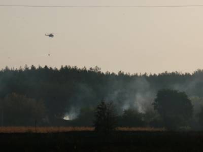 Лесной пожар в Харьковской области ликвидирован – ГСЧС