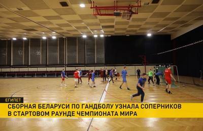 Сборная Беларуси по гандболу узнала соперников в стартовом раунде чемпионата мира