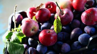 7 самых полезных фруктов, которые нужно срочно добавить в свой рацион