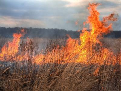 Пожилая жительница Херсонщины получила сильные ожоги: жгла на участке сухую траву