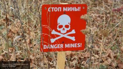 Бойцы ВСУ подорвались на мине в Донбассе во время эвакуации из-за пожара