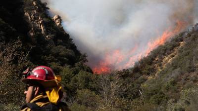В Калифорнии пожар охватил более 2,1 тысяч га леса