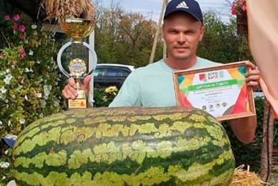 Соль-илецкий арбуз признан самым большим в России