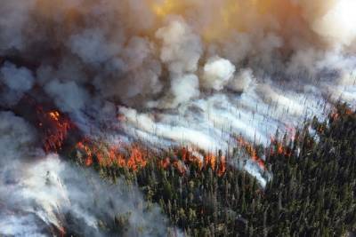 Природный пожар на юге Калифорнии охватил свыше 2,1 тыс. га