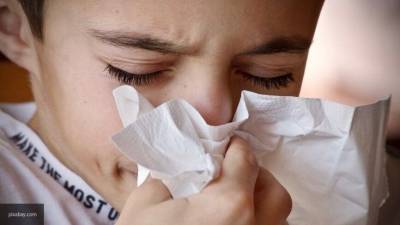 Обычная простуда оказалась эффективна в борьбе с гриппом
