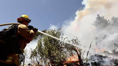 В пяти округах Калифорнии введён режим ЧС из-за пожаров