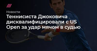 Теннисиста Джоковича дисквалифицировали с US Open за удар мячом в судью