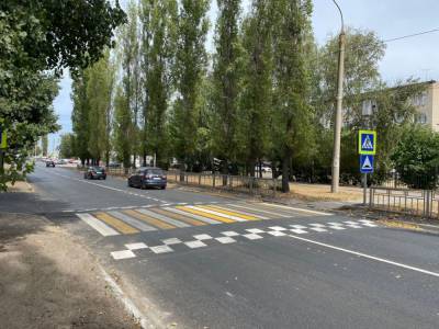 В Воронеже появляется всё больше приподнятых пешеходных переходов