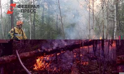 Лесопожарная обстановка в Красноярском крае улучшилась в разы