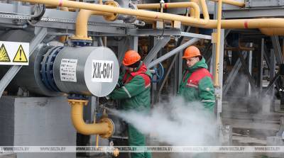 Лукашенко поздравил работников топливно-энергетической отрасли с профессиональным праздником