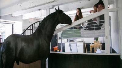 В Великобритании появилась гостиница с лошадьми