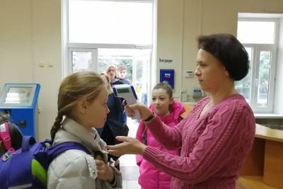 Замминистра просвещения РФ объяснил плохой организацией утренние очереди на входе в школы