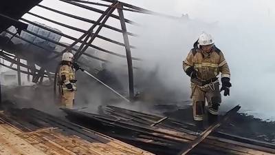 Опубликовано видео крупного пожара в Свердловской области
