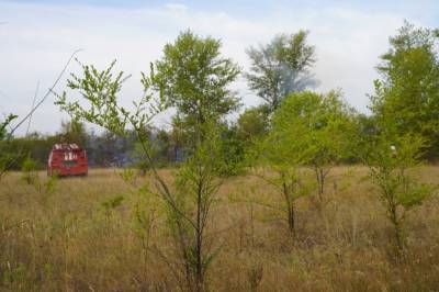 Пожар в Луганской области: Спасатели продолжают тушить тление травы и кустарников