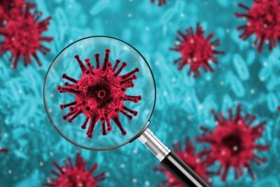 На Кубани за сутки выявили 91 случай инфицирования коронавирусом