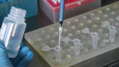 Клинические испытания вакцины от «Вектора» завершат 30 сентября