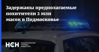 Задержаны предполагаемые похитители 2 млн масок в Подмосковье