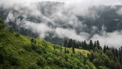 Пропавшая в горах Сочи группа туристов вышла на связь