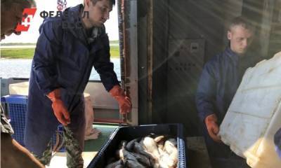 Тазовские рыбаки готовятся к осеннему лову ряпушки