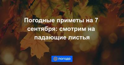 Погодные приметы на 7 сентября: смотрим на падающие листья