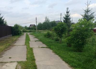 Поссорились из-за имущества: семью московской чиновницы расстреляли в деревне