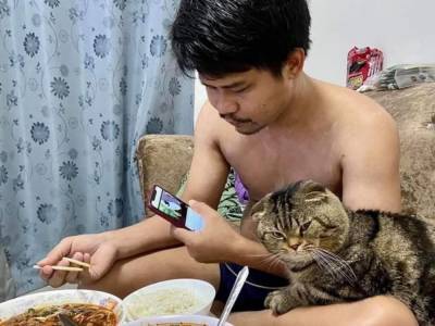 Кошка-обольстительница «увела» мужа у хозяйки