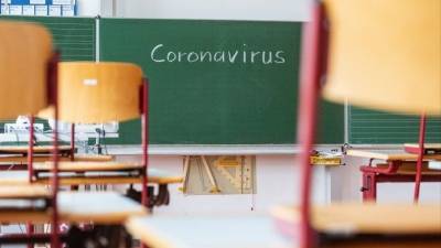 Несколько школ перешли на «удаленку» из-за случаев инфицирования коронавирусом