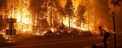 В пяти округах Калифорнии ввели режим ЧС из-за пожаров