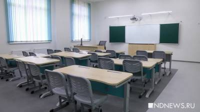 Учителя рязанской школы уволили за мастурбацию на уроке