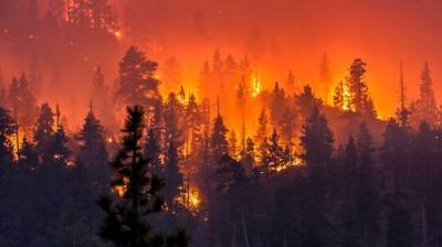 Прогноз высокой пожарной опасности лесов на территории Республики Татарстан