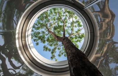 В Китае построили круглый музей с отверстием в крыше для дерева
