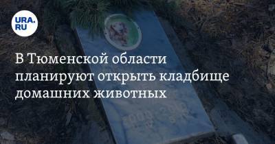 В Тюменской области планируют открыть кладбище домашних животных